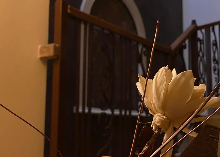 Teos 4* بريمورسكو