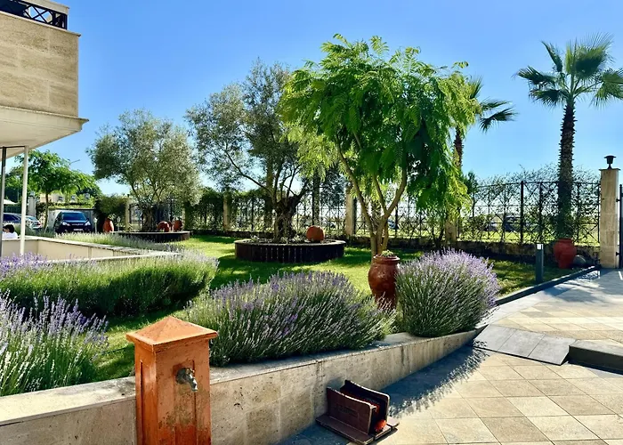 Teos 4* بريمورسكو