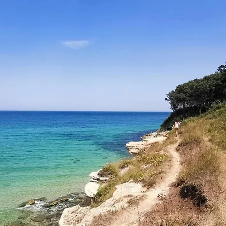 Teos
